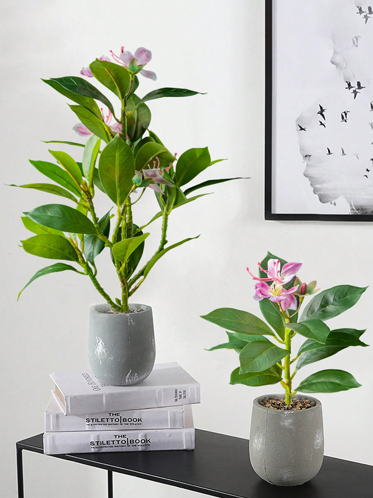21-40cm Artificial Azaleas Pla - огляд і ціна Rubber Plant Ficus